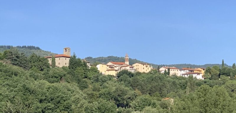 Vista del Casentino tra borghi, boschi e paesaggio appenninico