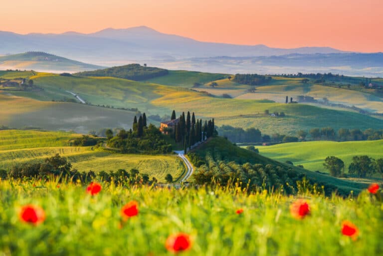 Prato con papaveri e casale nella Val d’Orcia